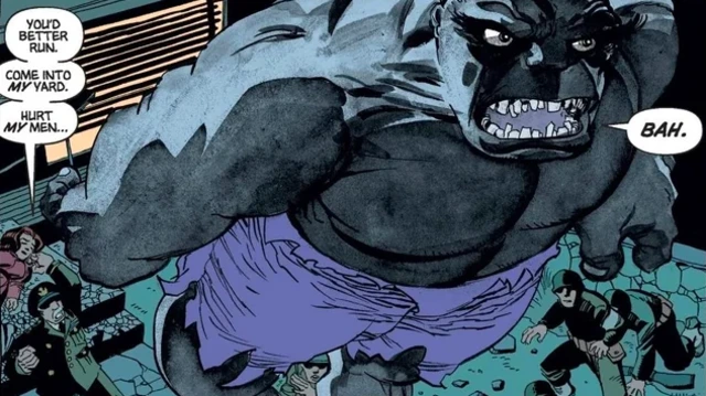 planche intérieure hulk gris